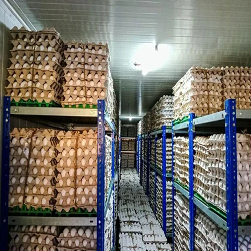 Vegetable Cold Storage